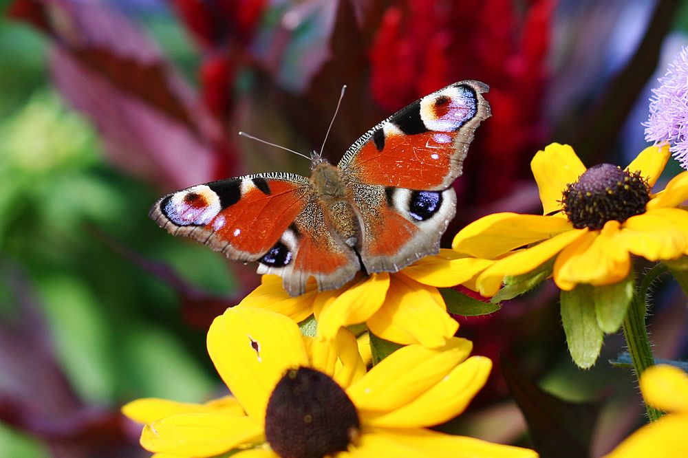 Photograph by Вербицкий Петр