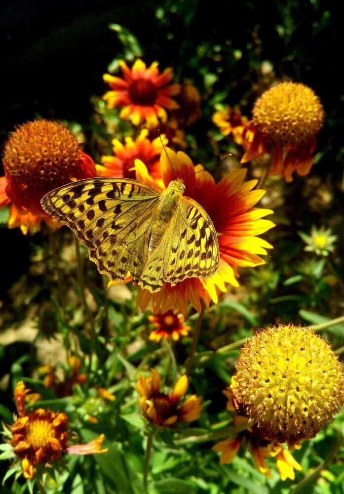 Photograph by Ольга Хромова