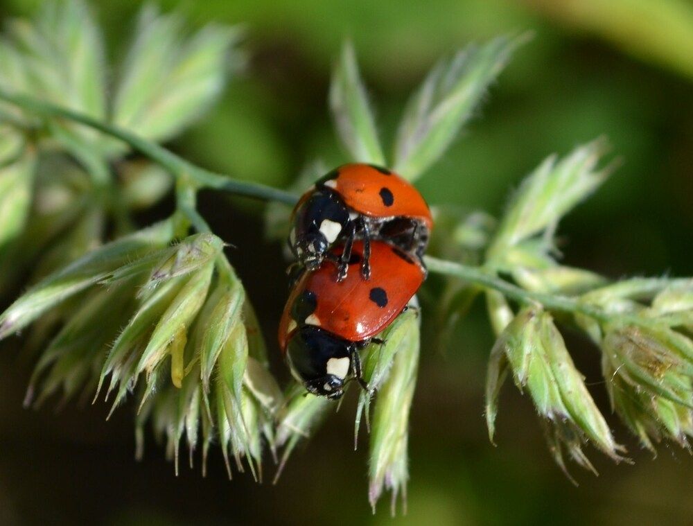 Photograph by Ольга Хромова