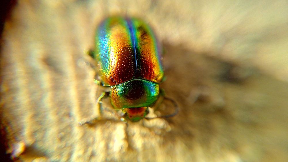 Photograph by Ольга Хромова