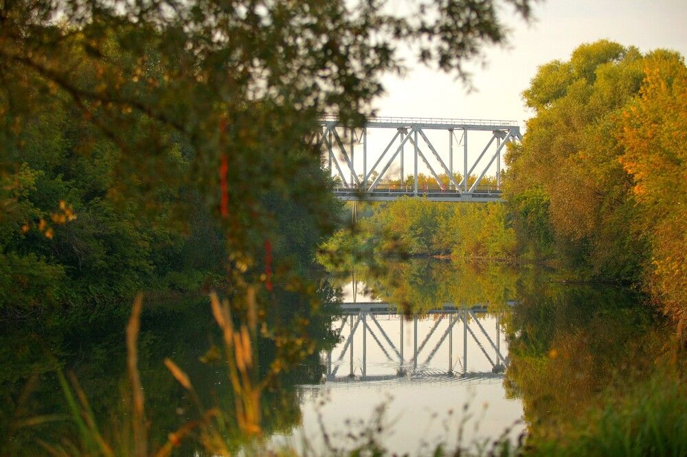 Фотография автора Оксана Горбатовская
