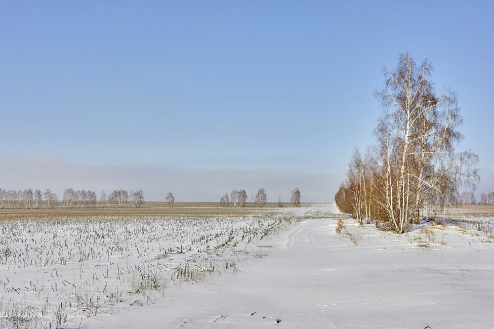 Photograph by Александр Еремин