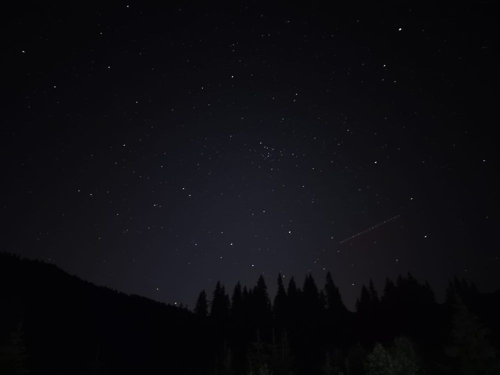 Photograph by Cosmin Coltan