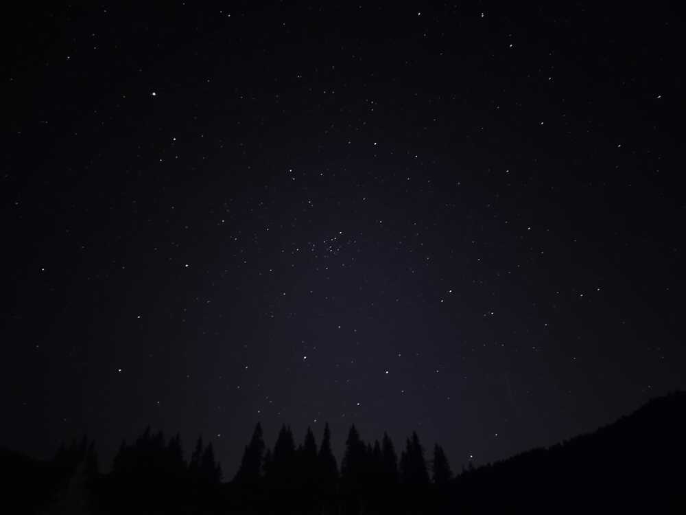 Photograph by Cosmin Coltan