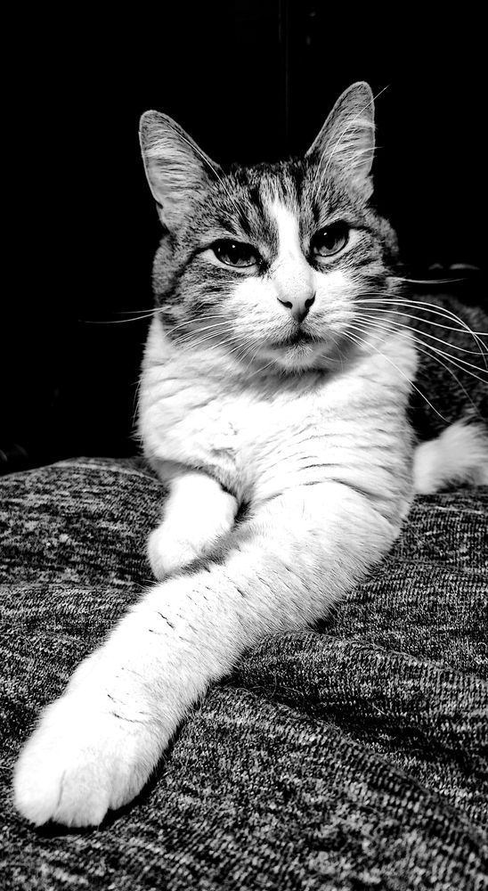 Photograph by Елена Юдина