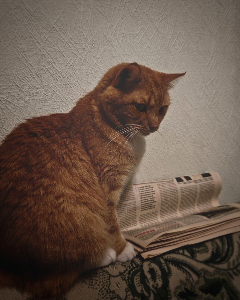 Фотография автора Aliaksandr Kazhdan