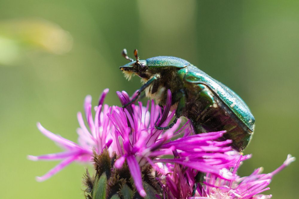 Photograph by Анастасия Павлова