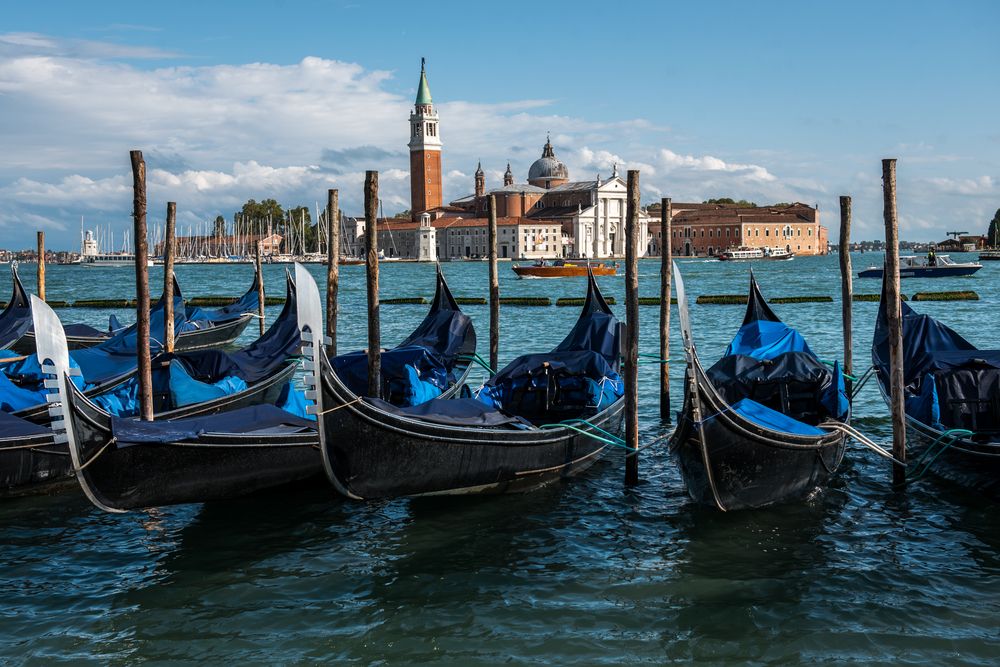 Photograph by Евгений Моляшов