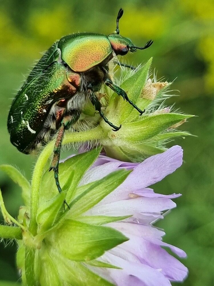 Photograph by Ольга