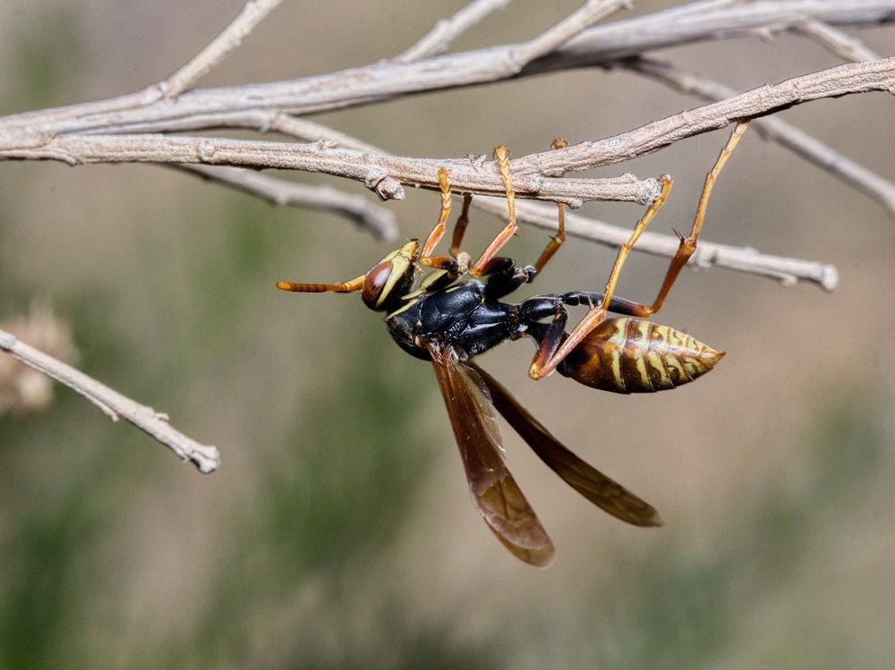 Фотография автора Paula Torrent