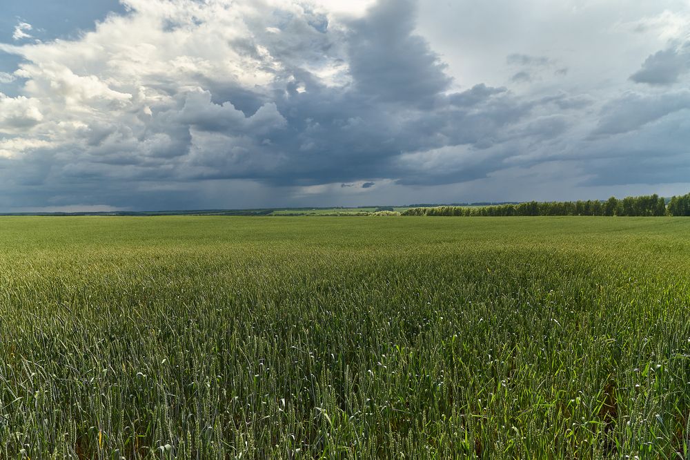 Фотография автора Александр Еремин