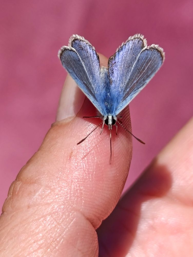Photograph by Светлана Веселовская