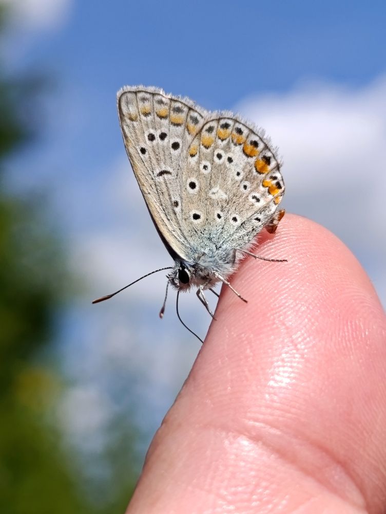 Photograph by Светлана Веселовская