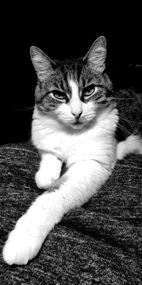 Photograph by Елена Юдина