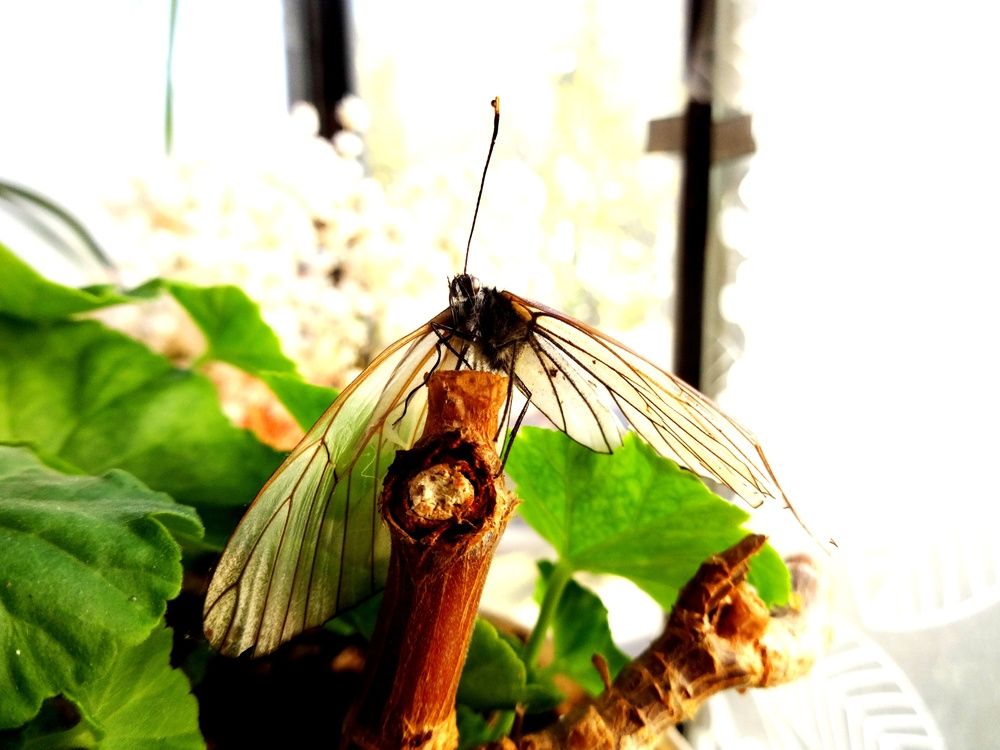 Photograph by Сергей Хвостовец