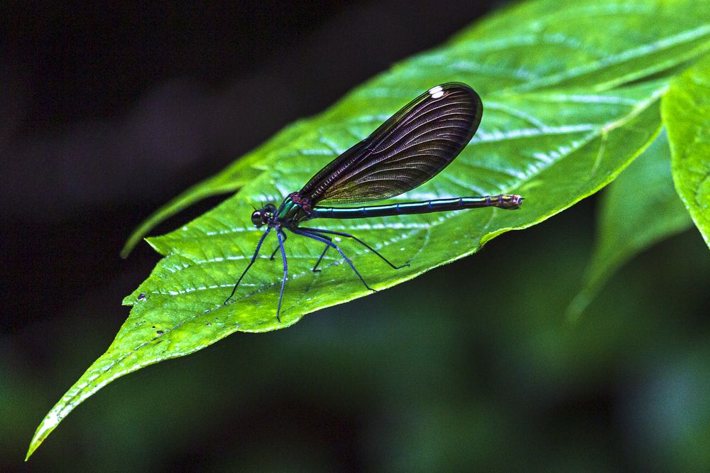 Photograph by Sergey Tsubanov