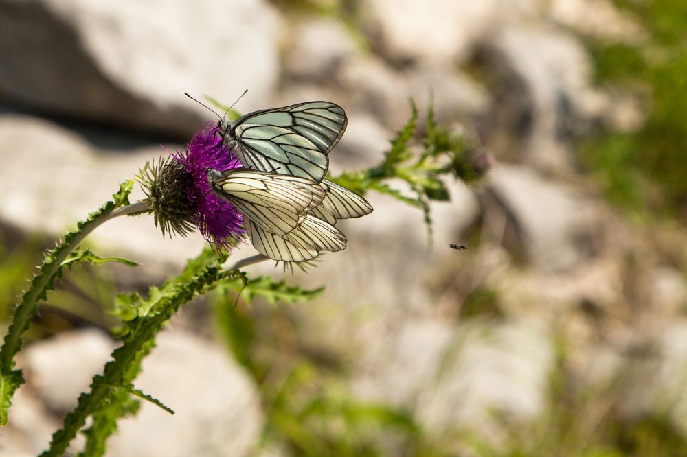 Photograph by Татьяна Каскевич