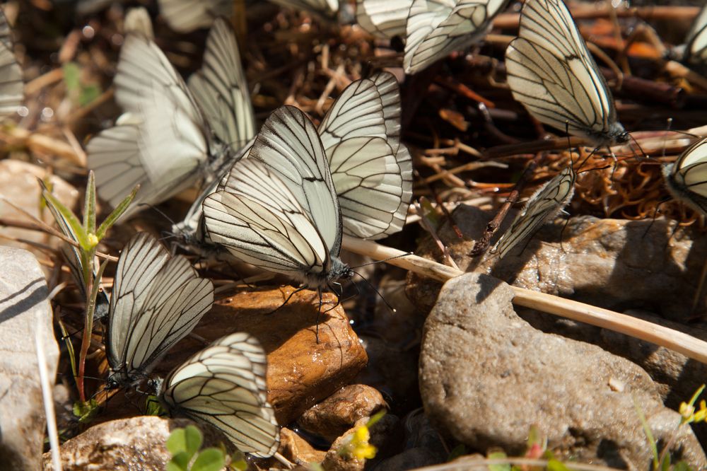 Photograph by Татьяна Каскевич