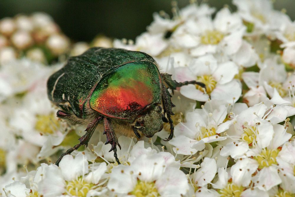 Photograph by Андрей Лукин