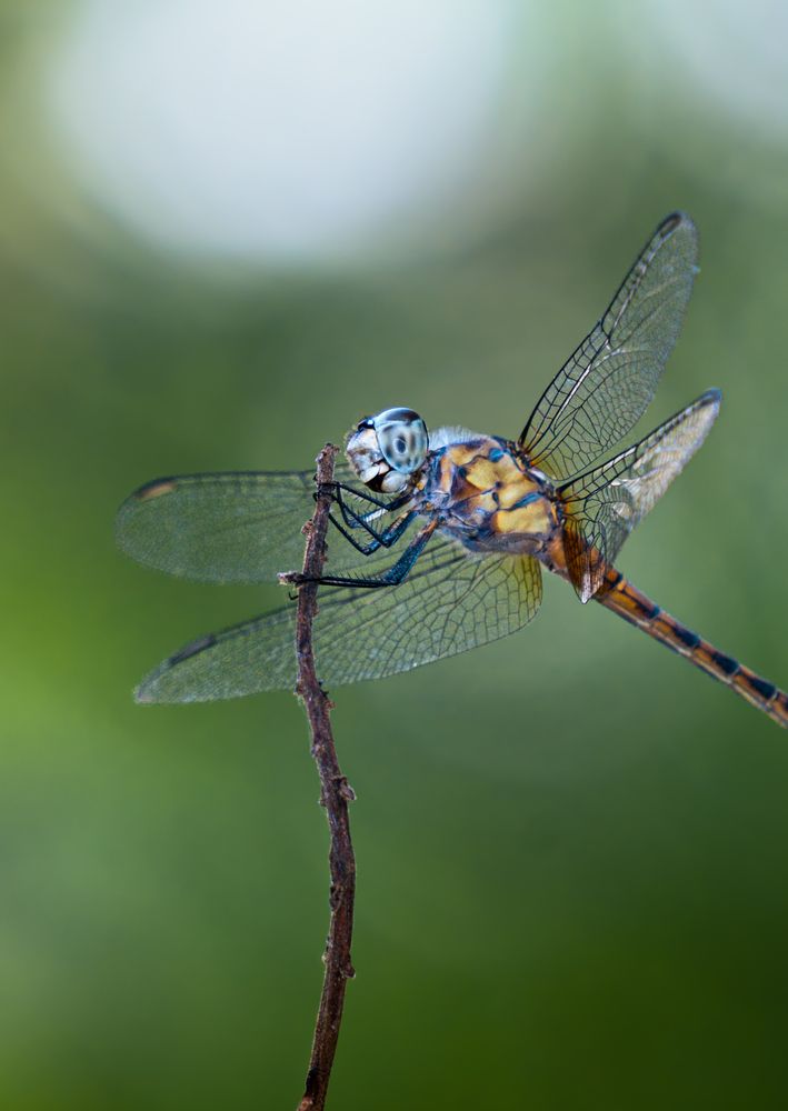 Photograph by Abhijith A S