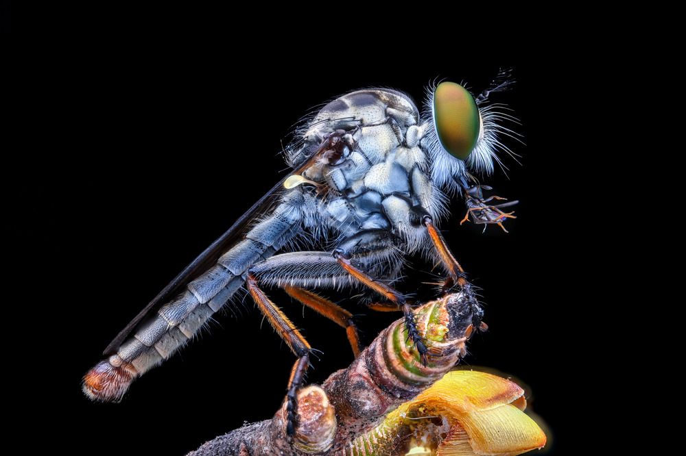 Photograph by Anh Nguyen