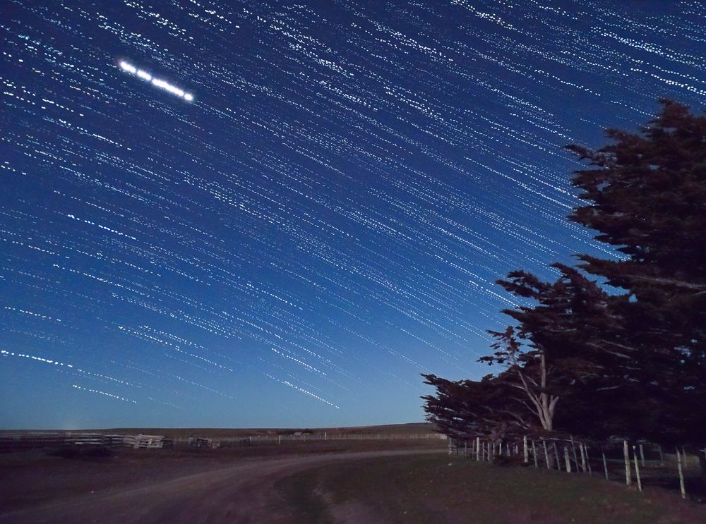 Фотография автора Paula Torrent