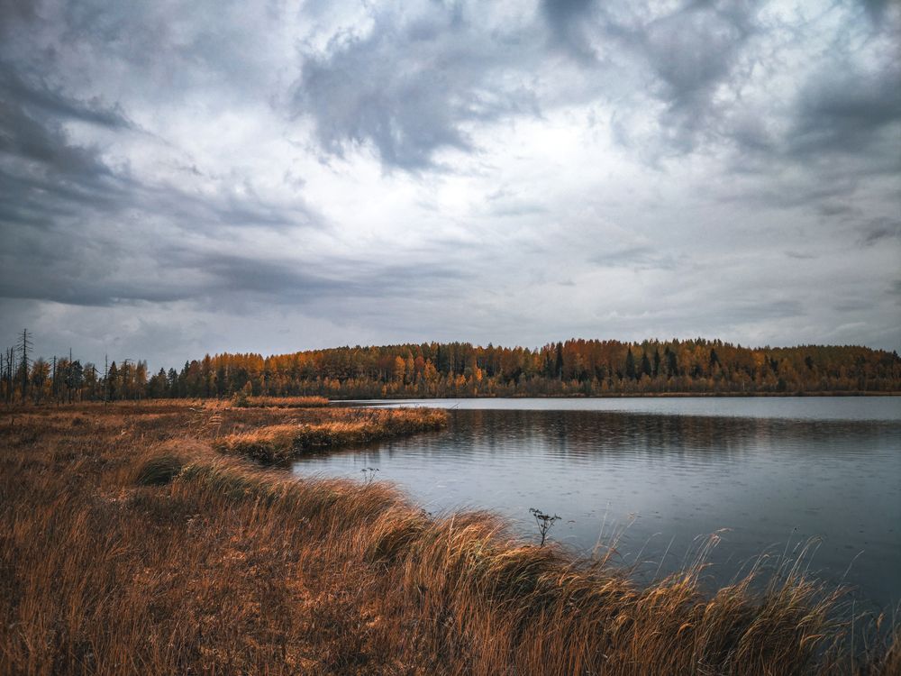 Дождь начинается.