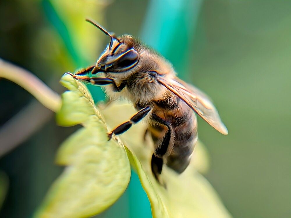 Photograph by Елена