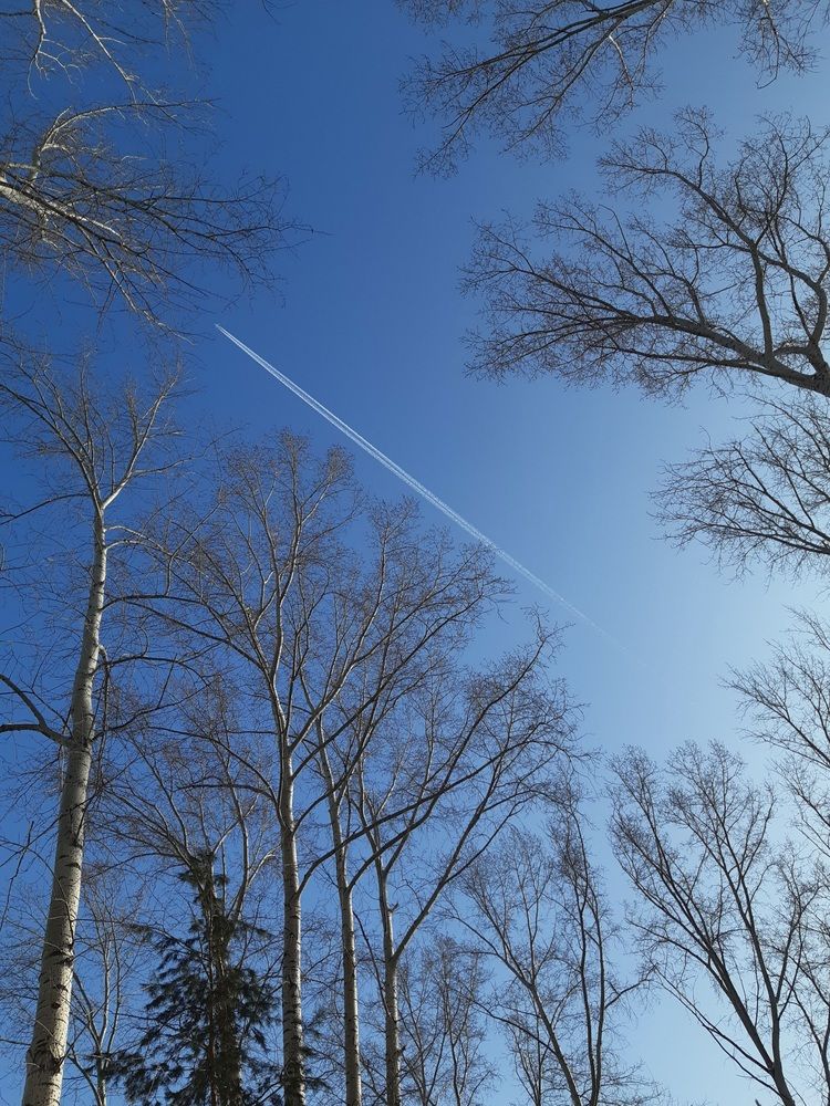 Photograph by Наталья Шендяпина