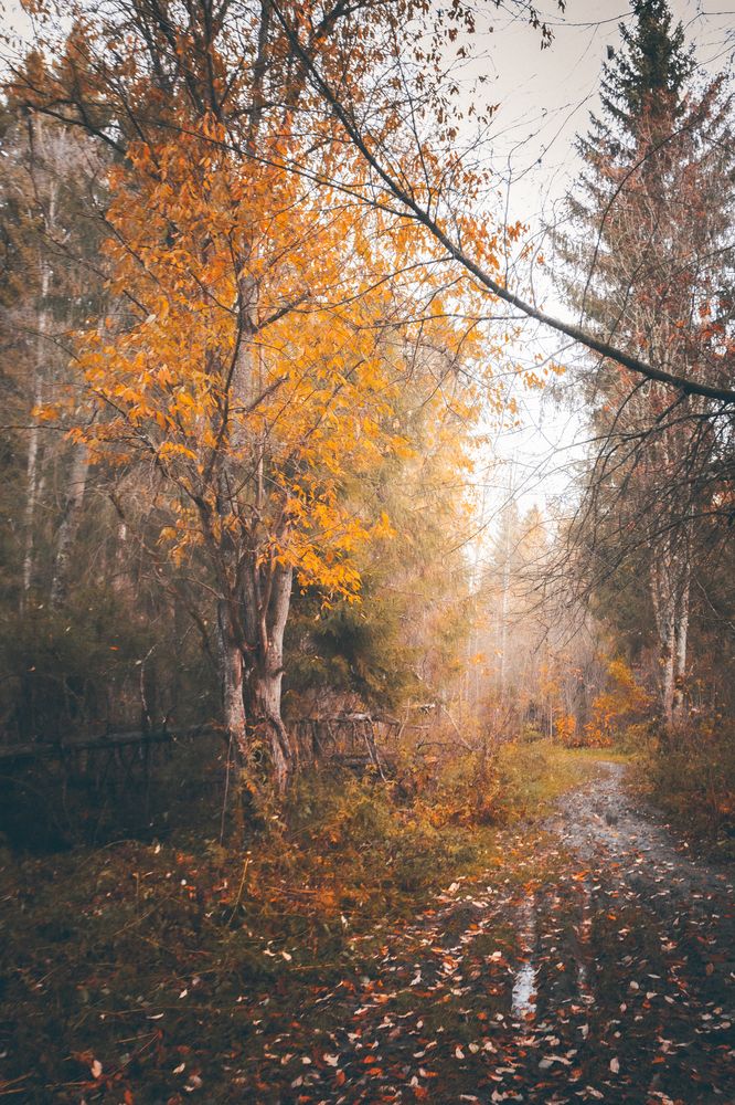 Осень.
