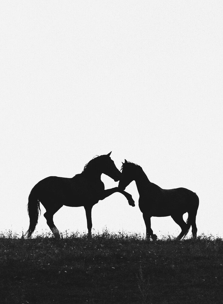 Photograph by Владимир Широкий