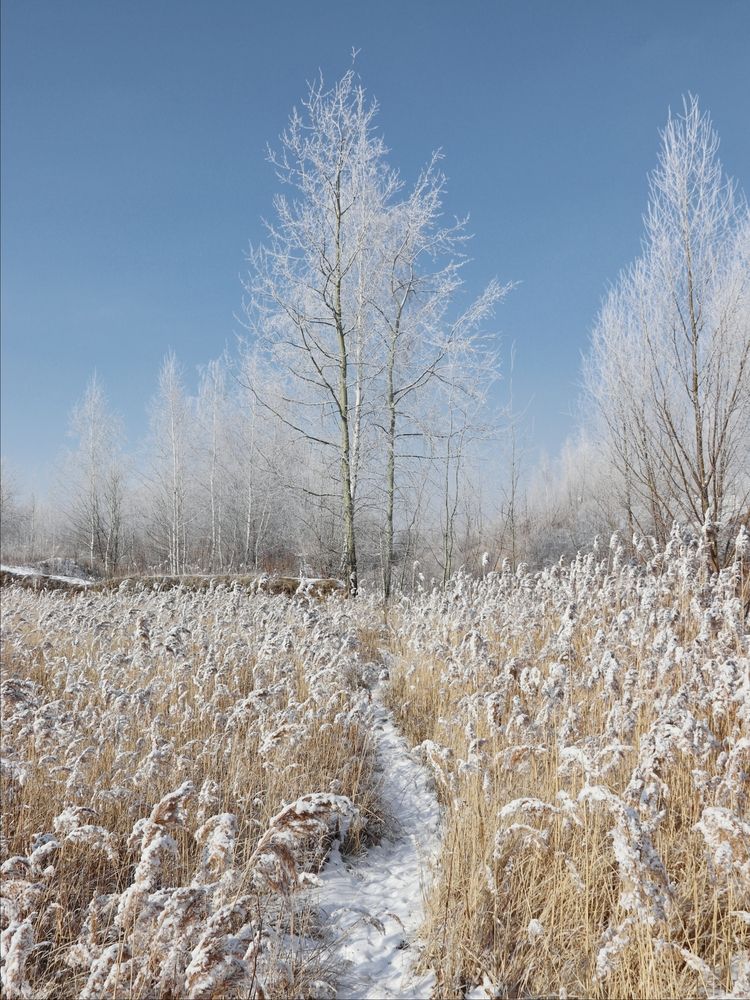 Photograph by Анна Любимова