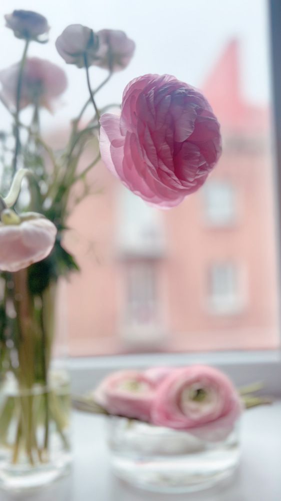 Photograph by Елена Беляева