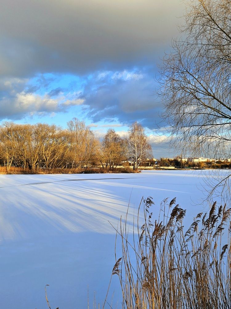 Фотография автора Elena Polonetskaya