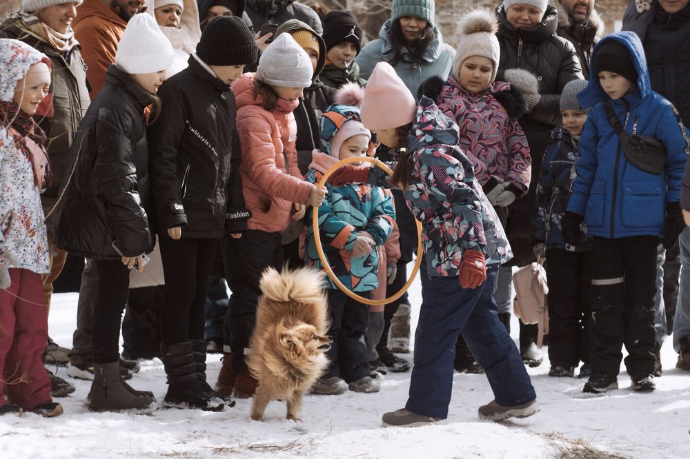 Photograph by Диана