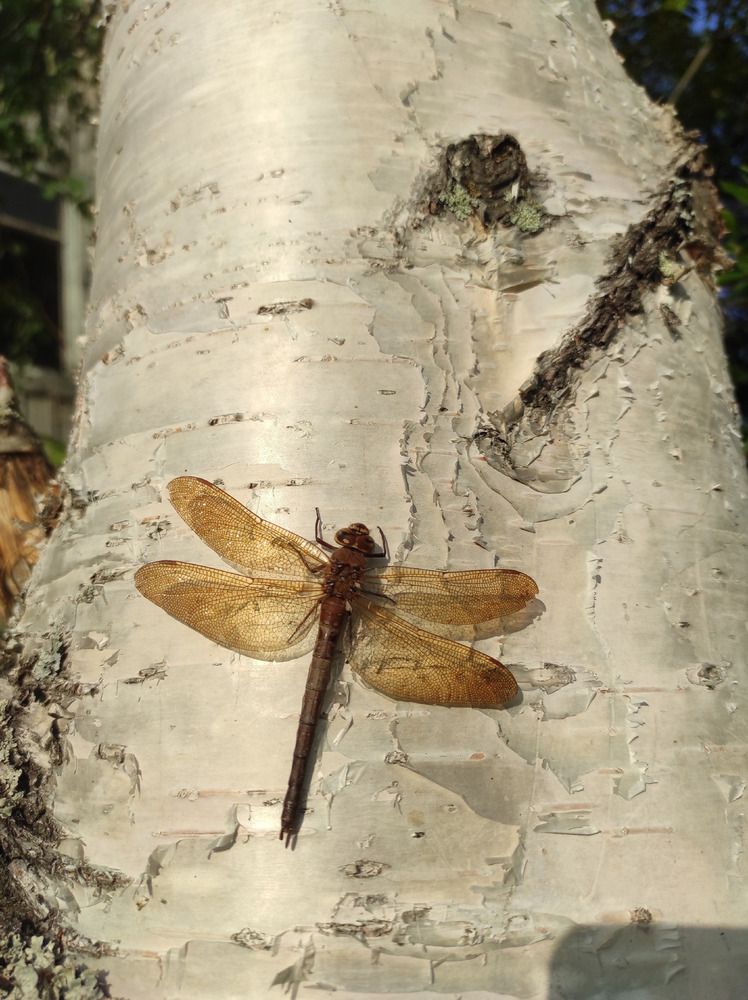 Photograph by Наталья Онофренчук