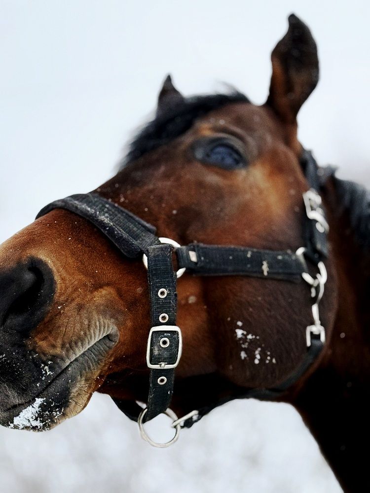 Photograph by Элла Киселева