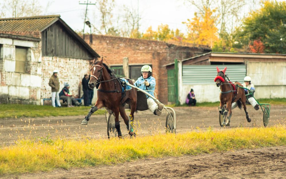 Photograph by Диана