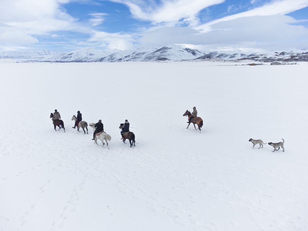 Фотография автора Esra Bürçün