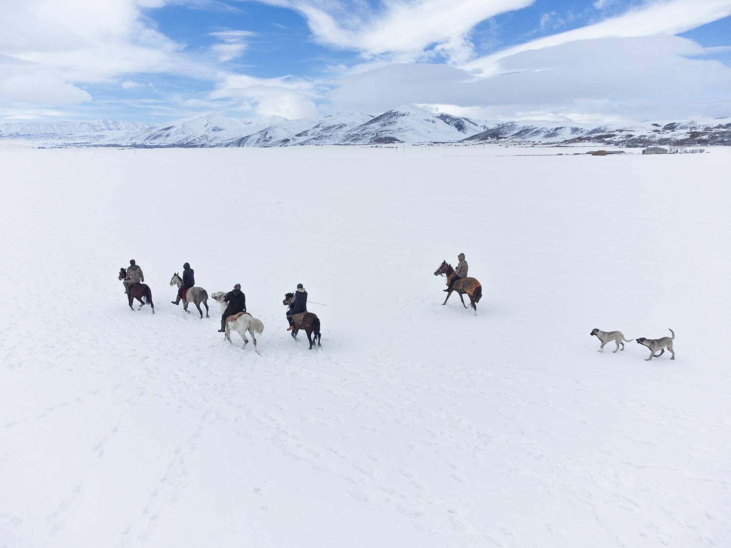 Фотография #12061407