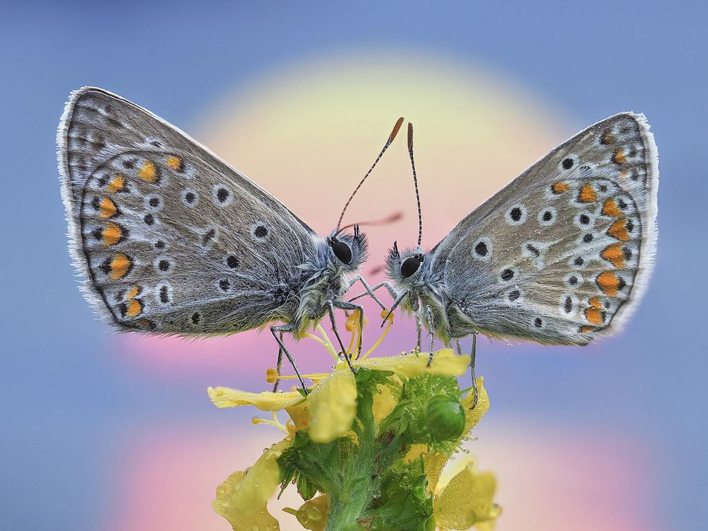 Photograph by Лукашук Евгений