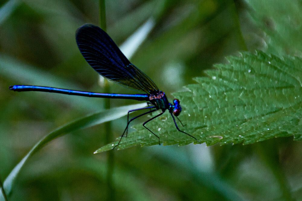 Photograph by Людмила Баймухаметова