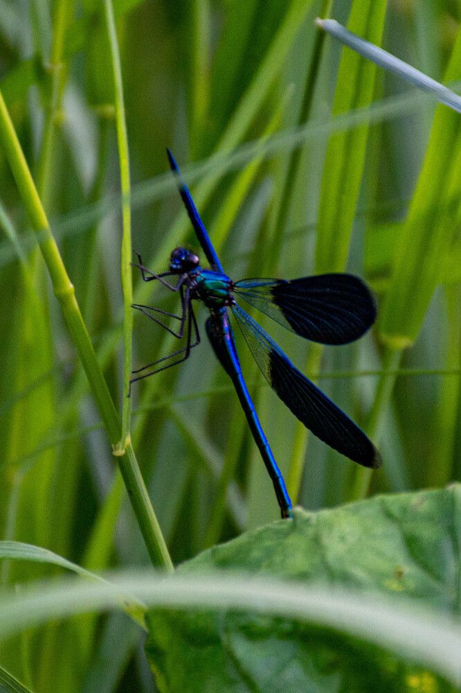 Photograph by Людмила Баймухаметова