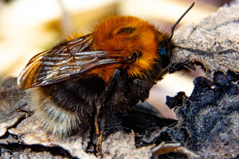 Photograph by Людмила Баймухаметова