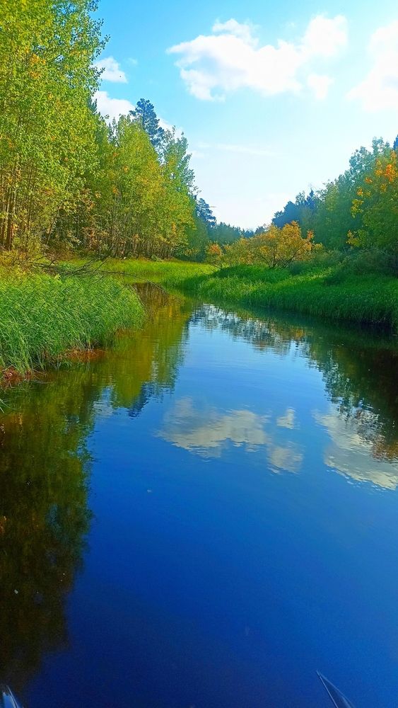 Photograph by Игорь Владимирович Дербенев