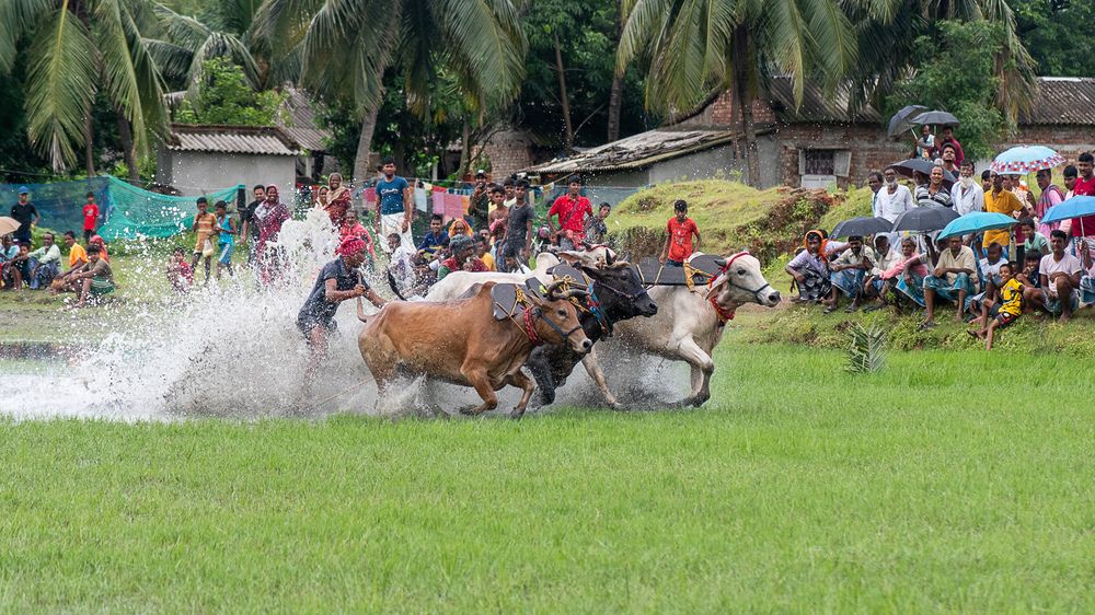 Photograph by Ramya Roy