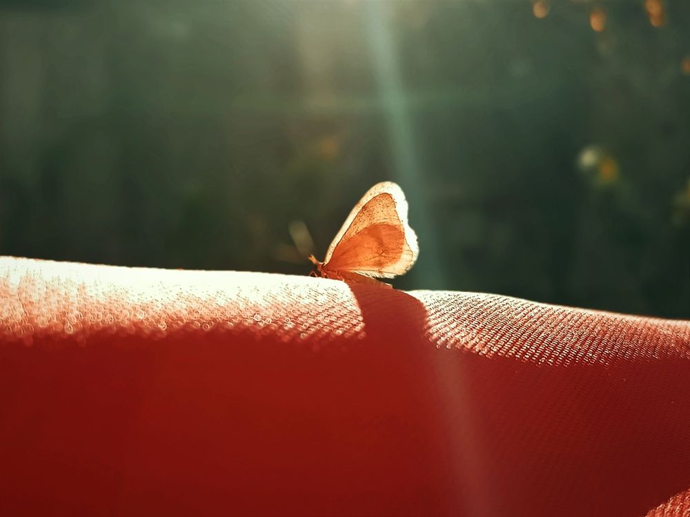 Photograph by Кристина