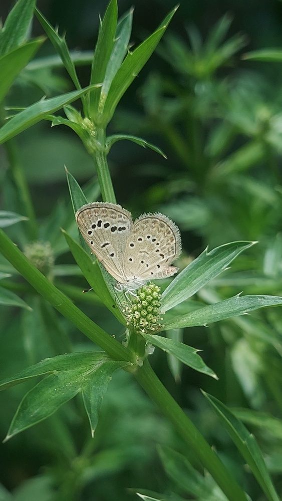 Photograph by Piyali Dutta
