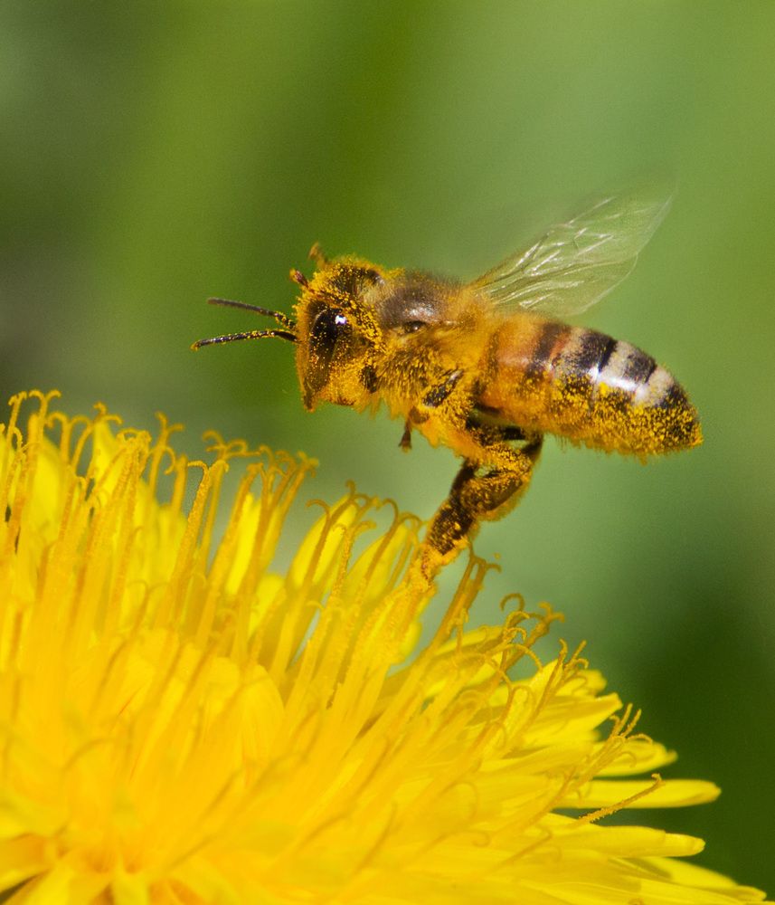 Фотография автора Борис Журавлёв