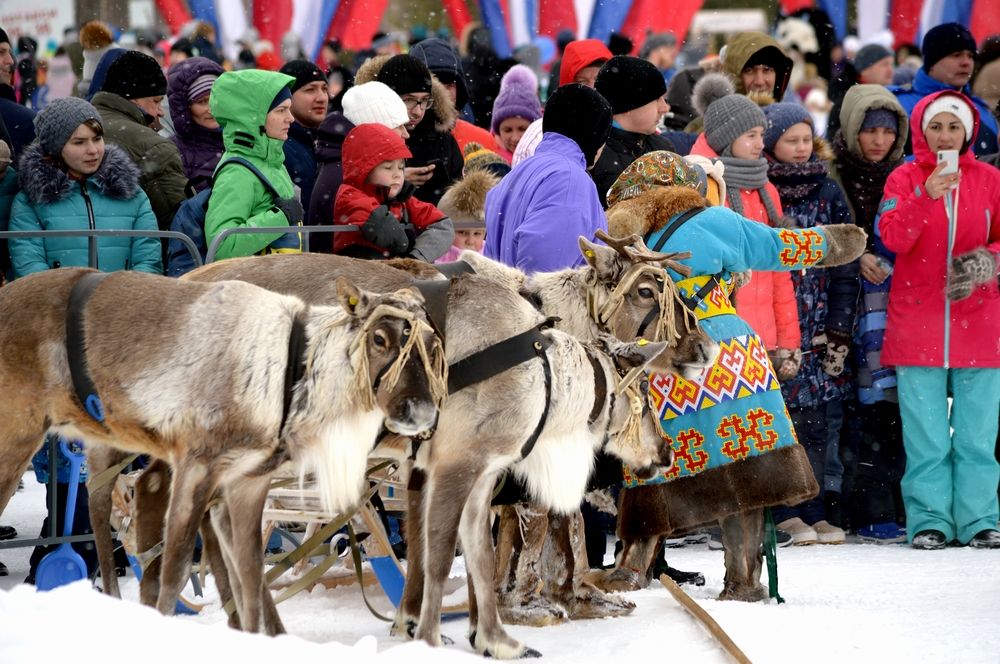 Садись, прокатись